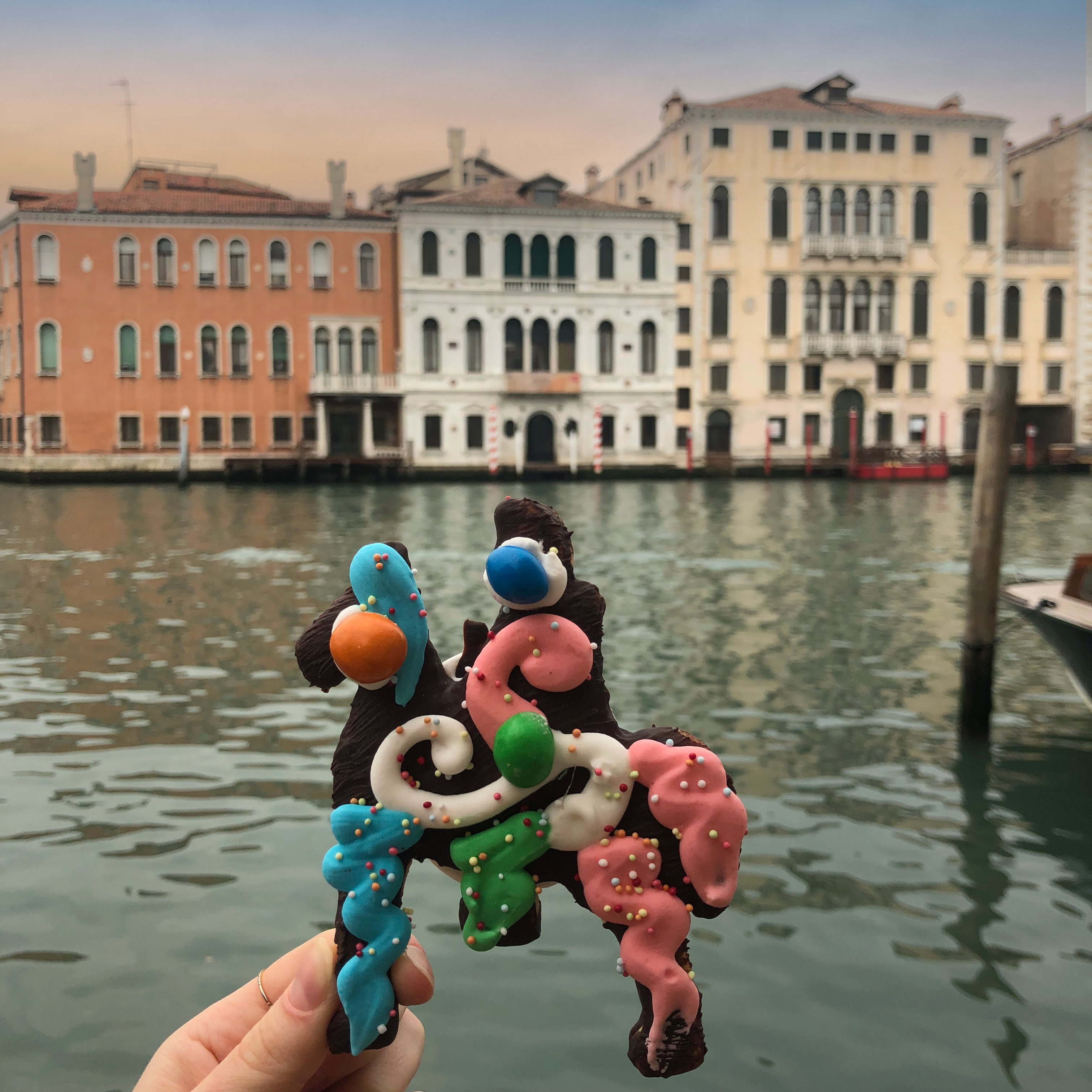 Saint martin's day biscuit in Venice, Grand Canal